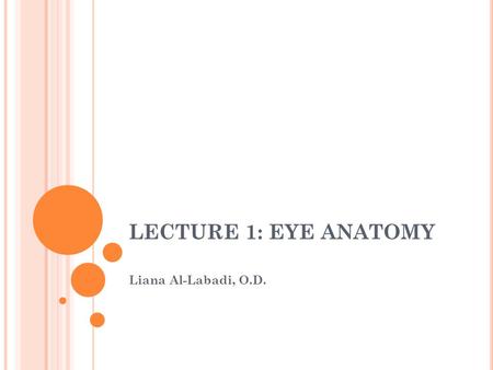 LECTURE 1: EYE ANATOMY Liana Al-Labadi, O.D.. E YE A NATOMY