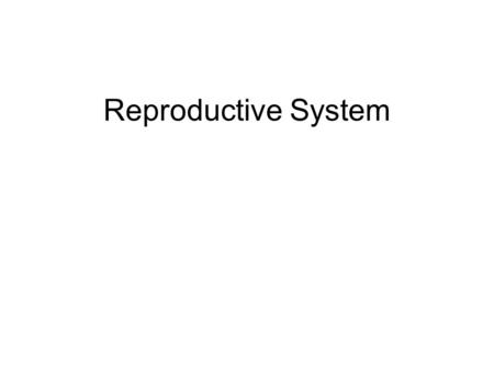 Reproductive System.