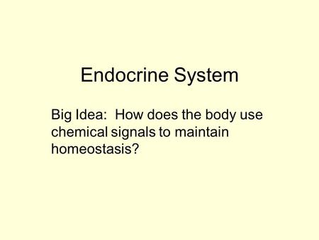 Endocrine System Big Idea: How does the body use chemical signals to maintain homeostasis?