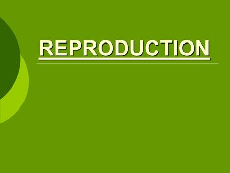 REPRODUCTION.