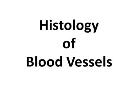 Histology of Blood Vessels