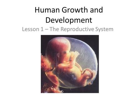 Human Growth and Development