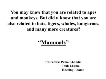 You may know that you are related to apes and monkeys. But did u know that you are also related to bats, tigers, whales, kangaroos, and many more creatures?