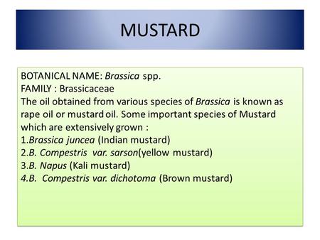 MUSTARD BOTANICAL NAME: Brassica spp. FAMILY : Brassicaceae The oil obtained from various species of Brassica is known as rape oil or mustard oil. Some.