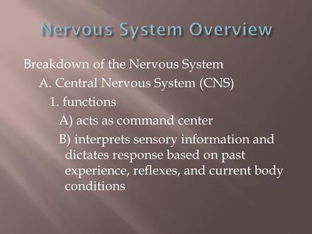 Nervous System Overview