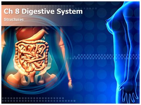 Ch 8 Digestive System Structures.