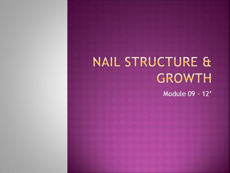 Module 09 – 12’.  ** write on page 198**  Reflect general health of body  Educate yourself  Natural nail’s structure & growth.