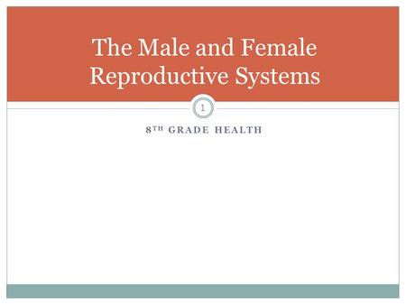 The Male and Female Reproductive Systems