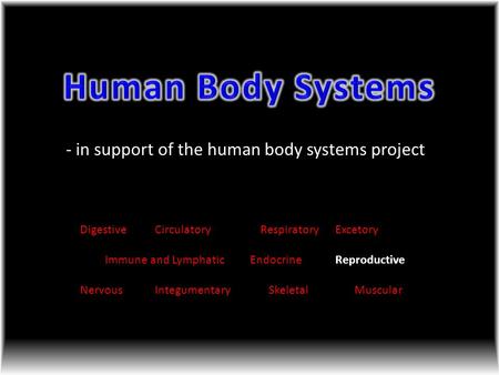 - in support of the human body systems project DigestiveCirculatory Respiratory Excetory Immune and Lymphatic Endocrine Reproductive NervousIntegumentary.