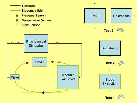 Physiological Simulator