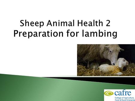  Appropriate management of the ewe and neonatal lamb ◦ Vaccinations ◦ Drenches  Preparation and planning for lambing  Equipment  Housing.