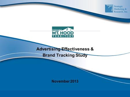 Advertising Effectiveness & Brand Tracking Study November 2013.