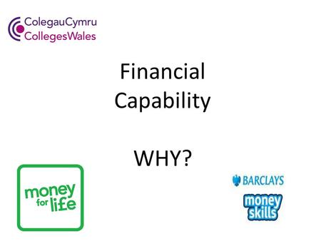 Financial Capability WHY?. Theme four of the WG Financial inclusion strategy sets out the WG vision for Financial Capability in Wales as: ‘A Wales where.