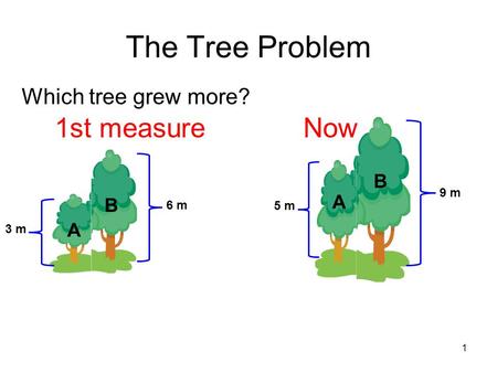 The Tree Problem 1st measure Now Which tree grew more? B A 9 m 6 m 5 m