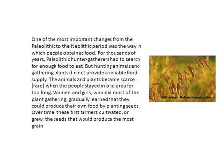 One of the most important changes from the Paleolithic to the Neolithic period was the way in which people obtained food. For thousands of years, Paleolithic.