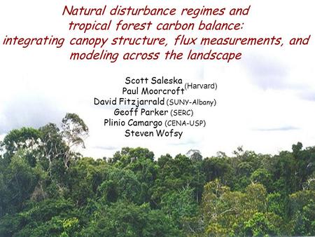 Scott Saleska Paul Moorcroft David Fitzjarrald (SUNY-Albany) Geoff Parker (SERC) Plinio Camargo (CENA-USP) Steven Wofsy Natural disturbance regimes and.