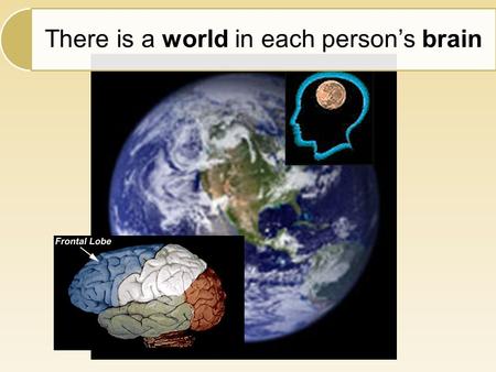 There is a world in each person’s brain. Presented at the Annual Conference of National Alliance for the Mentally Ill, Orlando Florida, June 2008 Building.