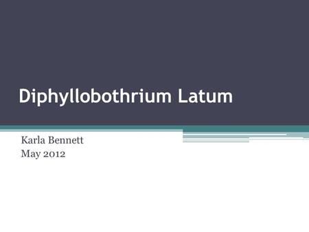 Diphyllobothrium Latum