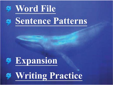 Word File Sentence Patterns Expansion Writing Practice.