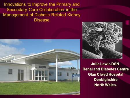 Innovations to Improve the Primary and Secondary Care Collaboration in the Management of Diabetic Related Kidney Disease Julie Lewis DSN. Renal and Diabetes.