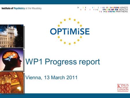 WP1 Progress report Vienna, 13 March 2011. Achievements General -4 Staff members (1 Image Analyst, 1 part-time Radiologist, 2 Research Assistants) in.