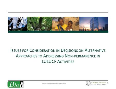 I NFORMAL WORKSHOP ON N ON - PERMANENCE 1 I SSUES FOR C ONSIDERATION IN D ECISIONS ON A LTERNATIVE A PPROACHES TO A DDRESSING N ON - PERMANENCE IN LULUCF.