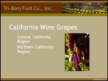 California Wine Grapes Central California Region Northern California Region Tri-Boro Fruit Co., Inc. © Tri-Boro Fruit Co., Inc.