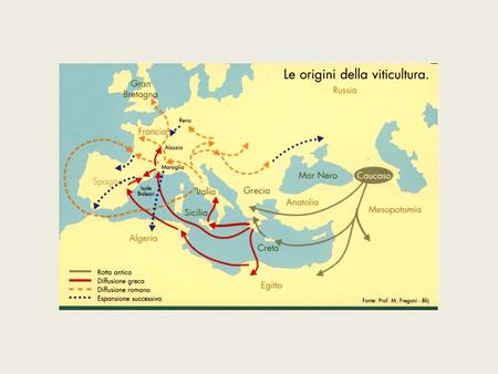 LAW of August 2, 2002, n. 5 THE REGION OF SICILY Classification of wine roads and routes. Urgent regulations on the inventory of Sicilian wine.