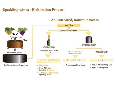 Sparkling wines : Elaboration Process In closed tanks, following the « Charmat » method The wine remains at least 6 months on its dregs. The wine remains.