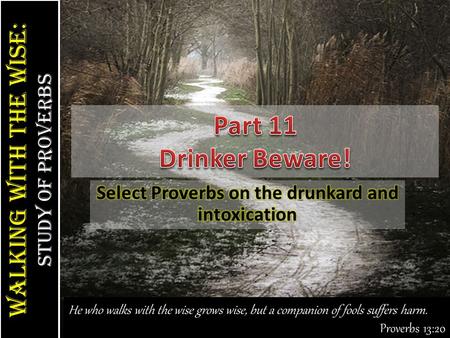 Walking With the Wise: study of Proverbs Walking With the Wise: study of Proverbs He who walks with the wise grows wise, but a companion of fools suffers.