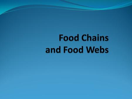 Food Chains and Food Webs