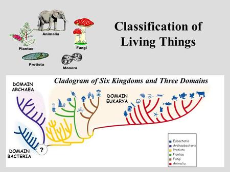 Classification of Living Things