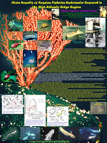 Main Results of Russian Fisheries Underwater Research in the Mid-Atlantic Ridge Region Mikhail L. Zaferman* and Alexei M. Orlov** *- Knipovich Polar Research.