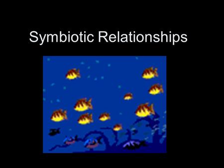 Symbiotic Relationships