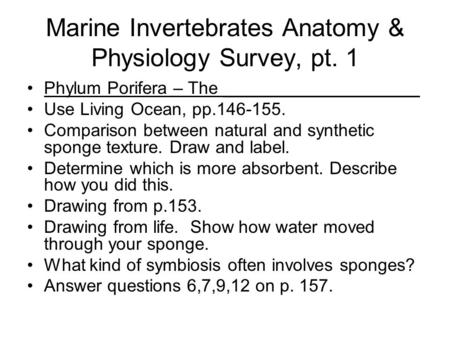 Marine Invertebrates Anatomy & Physiology Survey, pt. 1