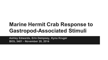 Marine Hermit Crab Response to Gastropod-Associated Stimuli Ashley Edwards, Erin Dempsey, Kyna Kruger BIOL 3401 - November 20, 2014.