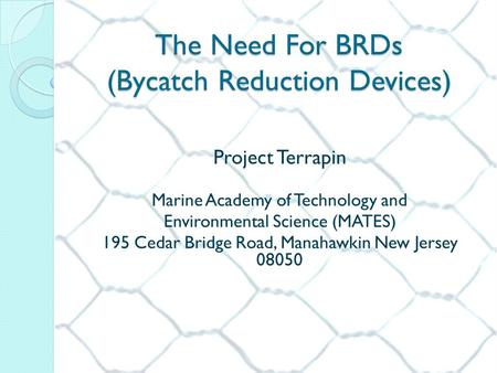 The Need For BRDs (Bycatch Reduction Devices) Project Terrapin Marine Academy of Technology and Environmental Science (MATES) 195 Cedar Bridge Road, Manahawkin.