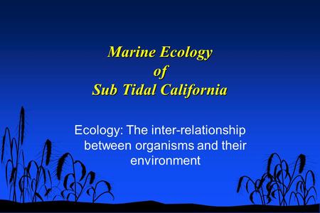 Marine Ecology of Sub Tidal California Ecology: The inter-relationship between organisms and their environment.