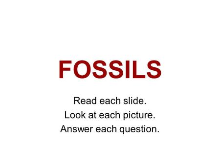 FOSSILS Read each slide. Look at each picture. Answer each question.