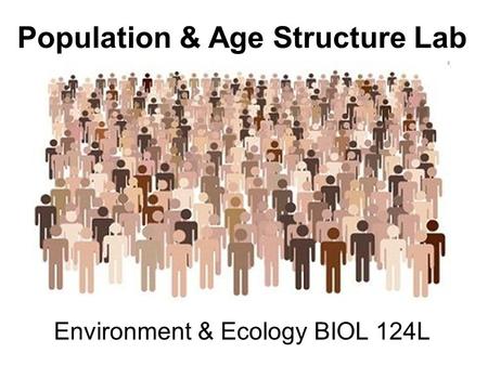 Environment & Ecology BIOL 124L Population & Age Structure Lab.