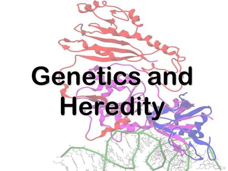 Genetics and Heredity History Genetics is the study of genes.Genetics is the study of genes. Inheritance is how traits, or characteristics, are passed.