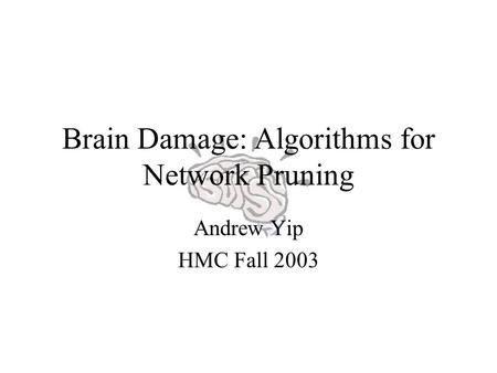 Brain Damage: Algorithms for Network Pruning Andrew Yip HMC Fall 2003.