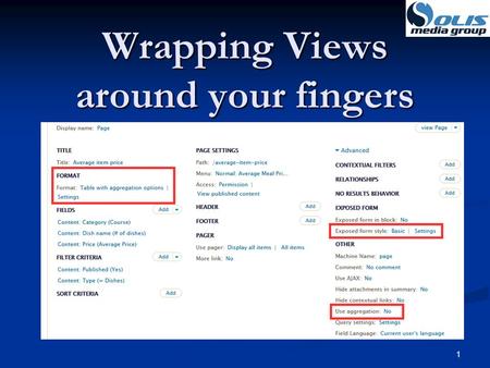 Wrapping Views around your fingers 1. 2 Dennis Solis Solis Media Group Solis Media Group Over 20 years of application software development. Over 20 years.