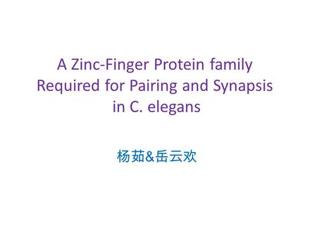 A Zinc-Finger Protein family Required for Pairing and Synapsis in C