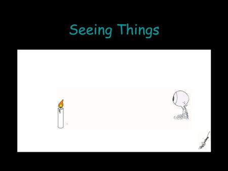 Seeing Things Somewhere between a quarter and a third of humans’ neocortex is devoted to vision. We are very good at recognizing and distinguishing fairly.