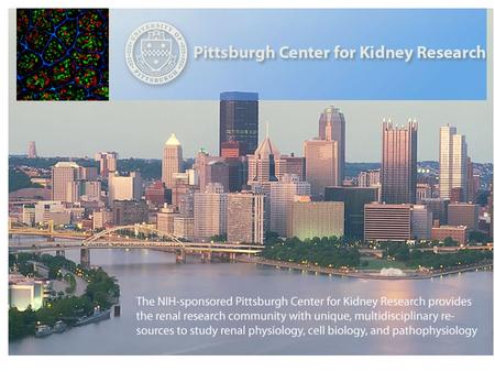 Objectives of the Center Facilitate multidisciplinary research, training and information transfer –Kidney physiology –Kidney cell biology –Kidney pathophysiology.