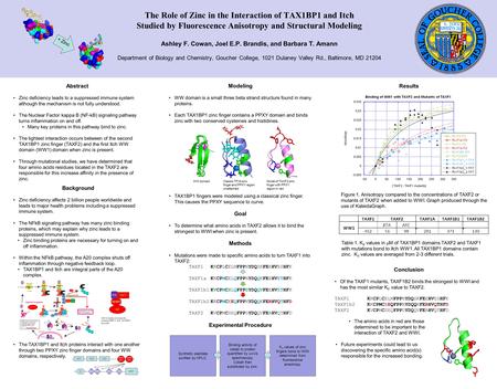 The Role of Zinc in the Interaction of TAX1BP1 and Itch Studied by Fluorescence Anisotropy and Structural Modeling Ashley F. Cowan, Joel E.P. Brandis,