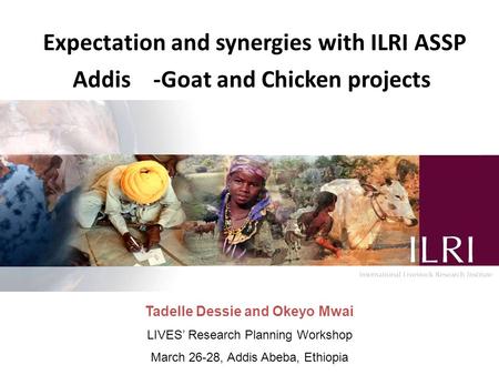 Expectation and synergies with ILRI ASSP Addis -Goat and Chicken projects Tadelle Dessie and Okeyo Mwai LIVES’ Research Planning Workshop March 26-28,