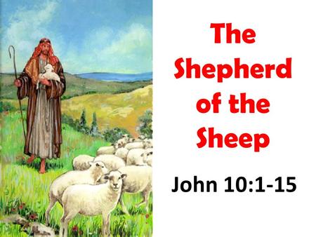 John 10:1-15 The Shepherd of the Sheep. The Elders as Shepherds, the Church as Sheep Acts 20:28 –“Therefore take heed to yourselves and to all the flock,