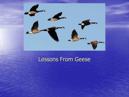 Lessons From Geese. V- Formation As each bird flaps its wings, it creates uplift for the bird following. As each bird flaps its wings, it creates uplift.